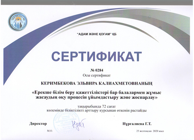 Сертификат "Ерекше білім беру қажеттіліктері бар балалармен жұмыс жасаудың оқу процесін ұйымдастыру және жоспарлау"